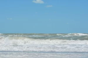 72941-192956-IPofZ4wr3qxblXL-QAQtnsYFkyZK9SMEJV3ZCuAMdFM-64f5f449dd182 (1)