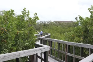 72941-192956-gZYbIvl6u5Nrz9pRUu4--q7bOsjIJ--ms5sbtBhi3Ypp0-64f60c60818a5 (2)