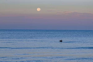 72941-192956-lMo--VXwGW-DLgwhjGucpZM5D4g-VoAlo0u4msbFox58-64f5f43be6a5d (2)