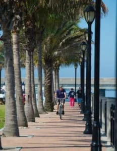 72941-192956-rrCiMlMTRnZoSS-pXVVa3XENqYmVuF1e2et0NRPPHaE-64f5f4253183c (1)