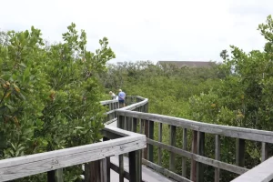 imgi_56_72941-192958-o3MIKov88JP85p2ieOKv13jlpwruppxYHn0qIyPUkpI-64f60ca25f184